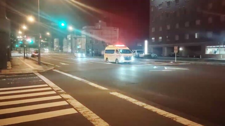 薩摩川内市消防局　中央消防署南部分署　南部救急２０１