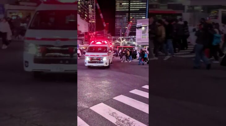 渋谷スクランブル交差点に救急車が緊急走行!! #渋谷スクランブル交差点