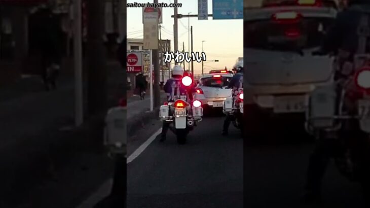 白バイの真横でバイカスが危険なすり抜け＆信号待ちの度に一生懸命な女性白バイ隊員さんがかわいい!!