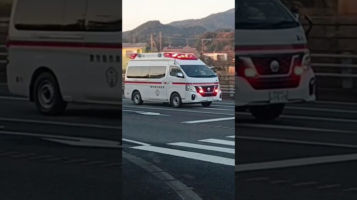 【緊急走行】鹿児島市消防局喜入救急隊