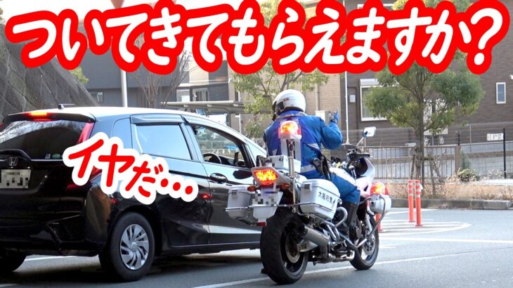 イヤって言って良いですか？逃げ道の無い白バイの誘導と、その後ろを素通りするノーヘル原付！最後まで気を抜けない【白バイによる一時停止取り締まり】