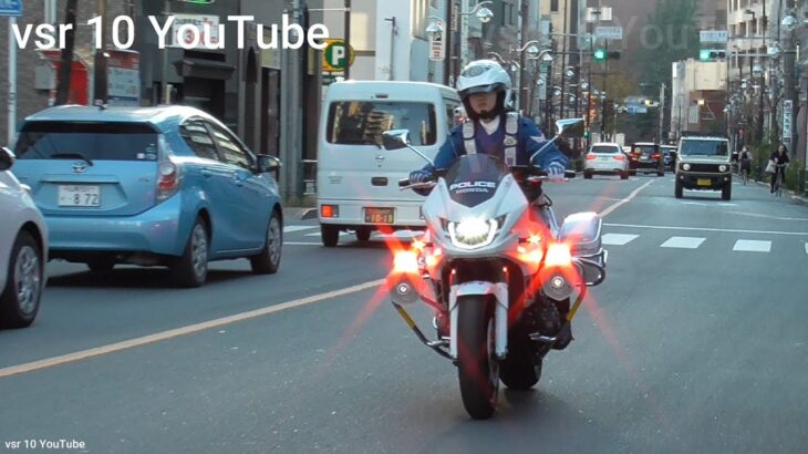 対向車止まってても関係ない！！白バイの目の前で歩行者をガン無視した結果…