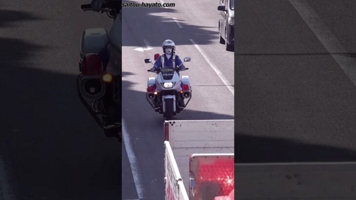 【子供が轢かれたら死んじゃうよ！怒】横断歩道の死角を気にも留めない危険極まりないユニック車に女性白バイ隊員さんが怒りの出撃!!