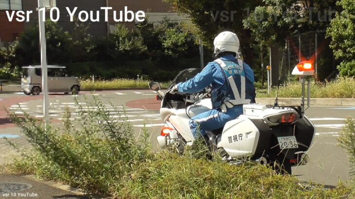 高齢ドライバー！！停止線をミサイル突破！！一部始終を見ていた白バイがお咎め