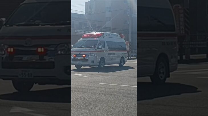 【緊急走行】鹿児島市消防局松元救急隊と西本署に向かう明和ミニと明和1号