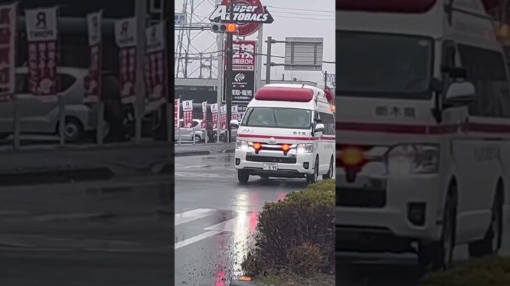 小山市消防本部　小山市消防署　小山救急13   緊急走行