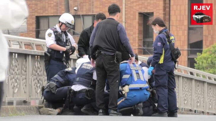 グッタリした男性が抱えられて警察車両へ！白バイ2台が見ているのにイエローカットしたレンタカーの末路！犯罪現場へ向かう白バイ隊員！