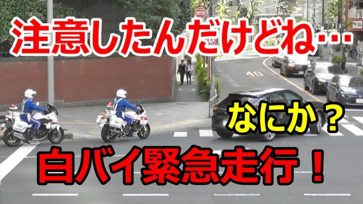 【白バイの交通取締】信号無視の軽トラを緊急走行で追う！2台目に注意したんだけどね…聞く耳持たず