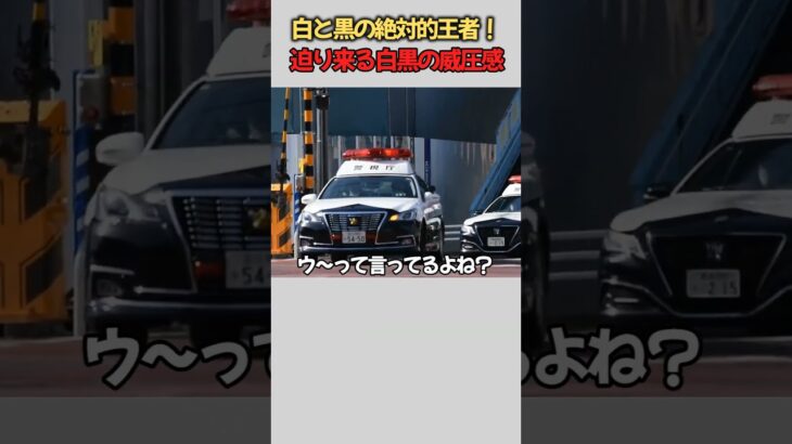 【パトカー】警視庁パトカー2台の緊急走行！緊迫の交差点 ドラレコ Car Crash Dash Cam Bad Drivers Driving Fails