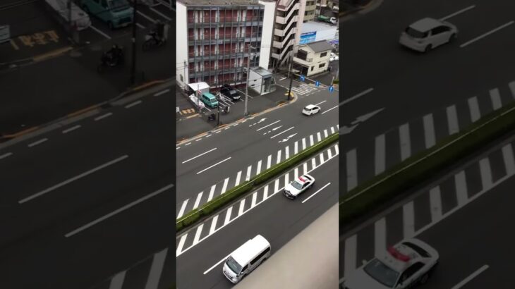 警視庁葛西警察署葛西3トヨタクラウン警らパトロールカー緊急走行🚨🦺 #パトカー🚔🚓