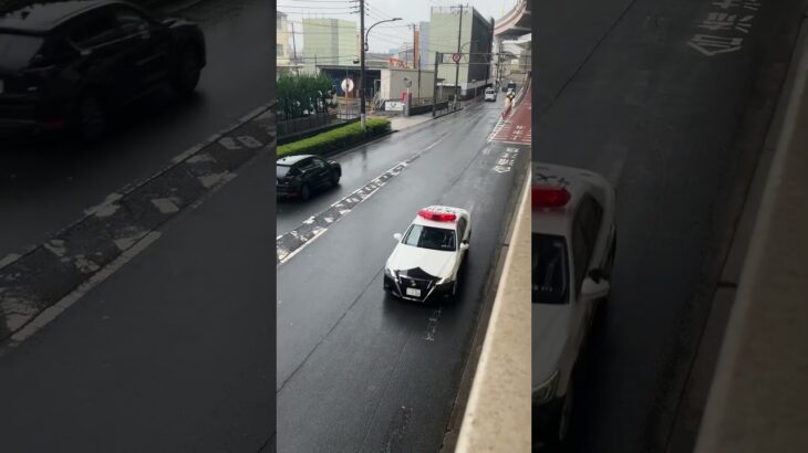 警視庁第4方面交通機動隊パトカー緊急走行(4交機213)