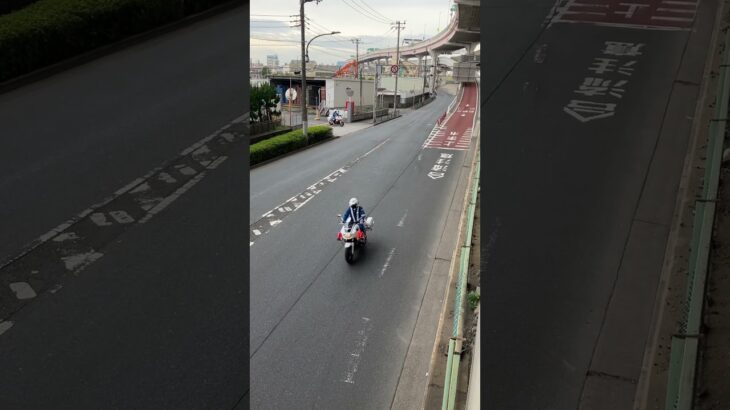 警視庁第4方面交通機動隊白バイ緊急走行(CB1300P)2台いました。
