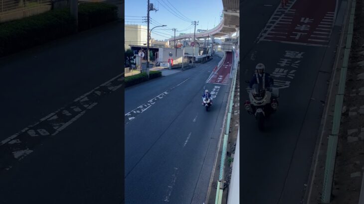 警視庁第4方面交通機動隊白バイ緊急走行(NT1100P)