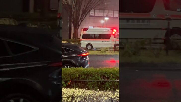 #緊急車両#救急車 #救急車 #消防 #消防車 #消防車両 #緊急車 #緊急車両 #緊急出動#特殊#Ambulance#shorts#緊急走行#サイレン#119#110#はたらくくるま