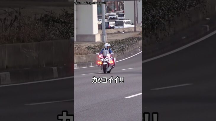 白バイの圧倒的な躍動感！！！強引なトラックの信号無視を現認したFJRが緊急走行で検挙した格好良い取締りの瞬間！！！