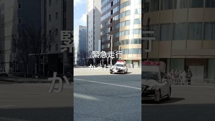 「パトカーが緊急走行する瞬間」#パトカー#緊急走行#サイレン#警察#緊急事態#ド迫力#注意喚起#衝撃映像#Shorts#ショート動画#おすすめ#バズれ