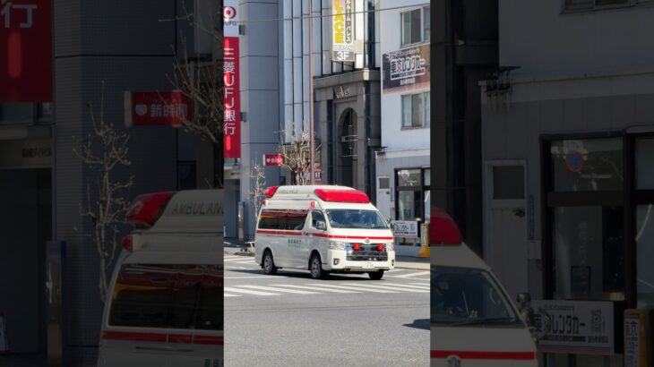 TCD e-deck サイレン鳴らし緊急走行する城東救急隊 ハイメディック 東京消防庁