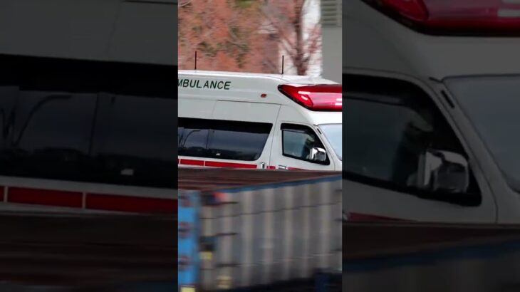 TCDサイレン搭載の救急車　緊急走行　#東消#救急車#アクティビーコン#TCDサイレン#緊急走行#緊急車両