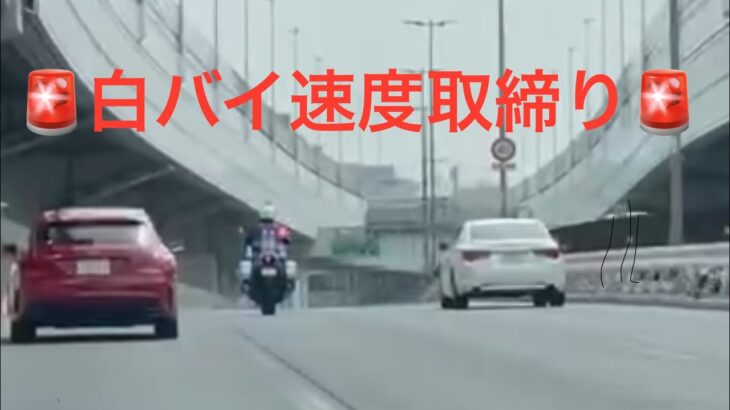 🚨白バイの速度取締り🚨マークX、捕まるか🤔🤔🤔 #白バイ #速度取締り #兵庫県警