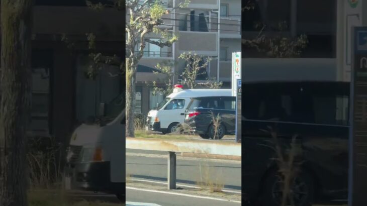 🚨警察車両🚨兵庫県警🚨赤色灯🚨 #警察車両 #パトカー #short #shorts #shortsfeed
