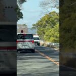 🚨警察車両🚨走行動画🚨兵庫県警🚨 #警察車両 兵庫県警 #short #shorts #shortvideo