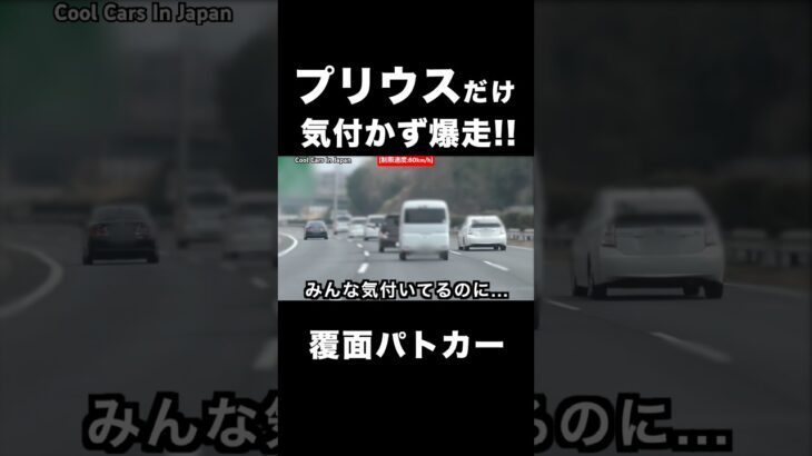 プリウスだけ、覆面パトカーに気付かず…‼️🤣　#shorts