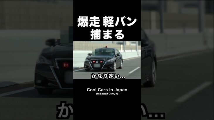 爆走軽バンに天罰⁉️ 覆面パトカーに捕まる‼️ #shorts