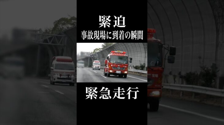 【緊迫】緊急走行で事故現場に到着する瞬間‼️ #shorts