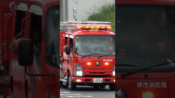 【緊急走行】ニュータウンポンプ、緊急走行！！【堺市消防局】#shorts  #緊急走行 ＃消防車 #救急車 #emergency #fire #救急車＃サイレン