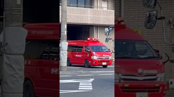 【緊急走行】本部調査、緊急走行！【堺市消防局】#shorts  #ショート #消防署 #消防車 #fire #firefighter #サイレン#救急車 #救急 #はしご車