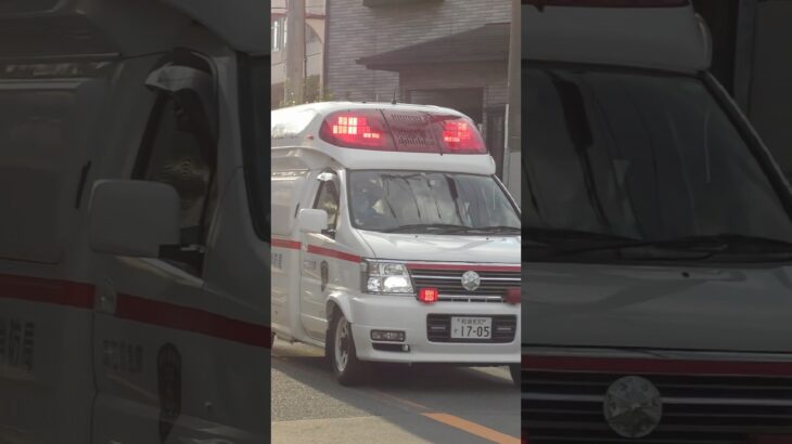 【緊急走行】高石非常救急、緊急走行！【堺市消防局】#shorts  #ショート #消防署 #消防車 #fire #firefighter #サイレン#救急車 #救急 #はしご車