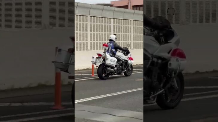 🚨白バイ🚨走行動画🚨兵庫県警🚨 #白バイ #兵庫県警 #shorts #short #shortsfeed #shortvideo