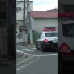 🚨パトカー🚨パトロール🚨赤色灯🚨兵庫県警🚨　#パトカー #shorts #short #shortvideo