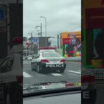 🤣🤣🤣パトカー越しにゴリラが踊ってて草🤣🤣🤣　#おもしろ #パトカー  #shorts #short #shortvideo