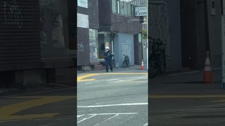 🚨歩く警察官🚨🫡兵庫県警🫡　#警察官 #兵庫県警 #shorts #short #shortvideo