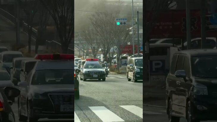 🚨パトカー🚨パトロール🚨兵庫県警🚨　#パトカー #shorts #short #shortvideo