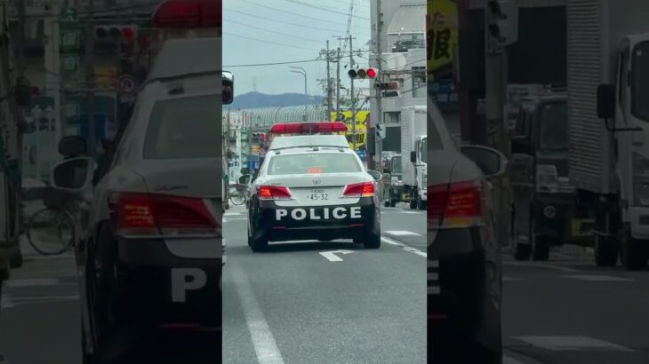 🚨大阪府警🚨パトカー🚨パトロール🚨　#パトカー #大阪府警 #shorts #shortsfeed #shortvideo