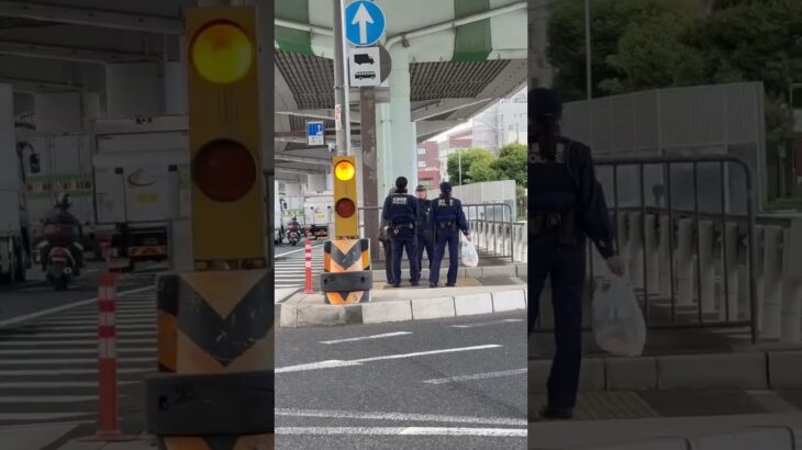 🚨交差点で立ち往生していた老人を助ける警察官🫡🫡🫡　#警察官 #兵庫県警 #shorts #shortsfeed #shortvideo #short