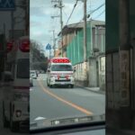🚨救急車🚨緊急走行🚨響き渡るサイレン🚨　#救急車 #緊急走行 #shorts #shortvideo