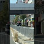 🚨パトカー🚨赤色灯🚨兵庫県警🚨 #パトカー #ミニパト #兵庫県警 #shorts #shortvideo