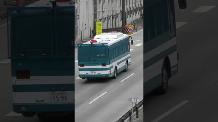 🚨護送車❓🚨警察車両が格好いい🚨赤色灯🚨大阪府警🚨 #護送車 #大阪府警 #警察車両 #shorts #shortvideo