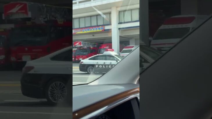 🚨パトカー🚨パトロール🚨兵庫県警🚨 #パトカー #shorts #shortvideo #short