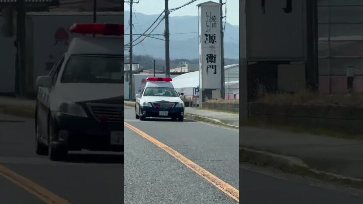 🚨パトカー🚨赤色灯🚨兵庫県警🚨パトロール🚨　#パトカー #兵庫県警 #shorts #shortvideo #short