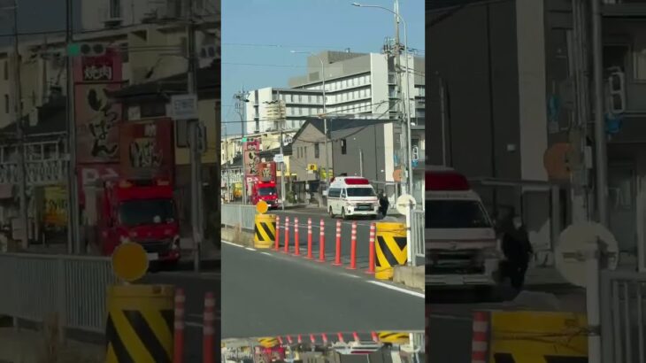 何が起こった？😳😳😳🚨救急車と消防車🚨赤色灯🚨 #救急車 #消防車 #shorts #shortvideo #short