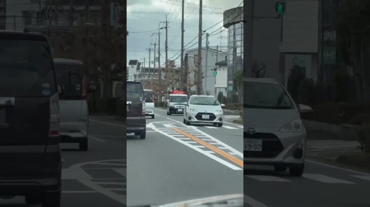 🚨パトカー🚨パトロール🚨赤色灯🚨兵庫県警🚨　#パトカー #兵庫県警 #shorts #shortvideo #shortsfeed
