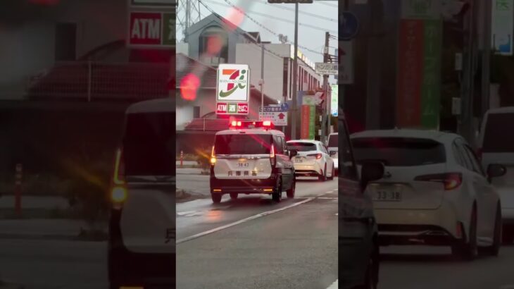 🚨最新の赤色灯が格好いい❤️パトカー🚨兵庫県警🚨　#パトカー #shortsvideo #shortsfeed #shorts