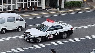 パトカー　緊急走行