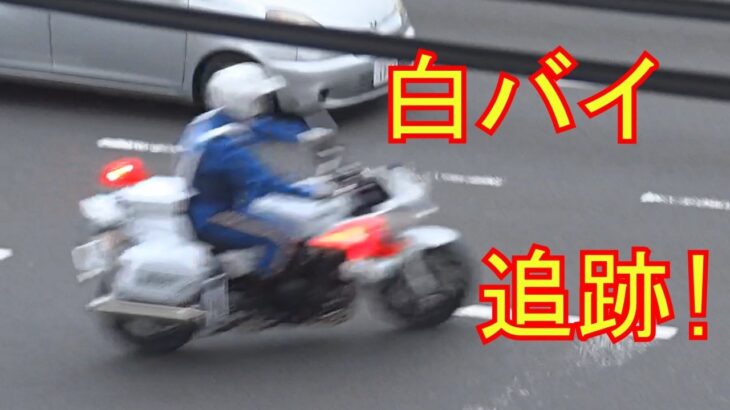 信号無視して左折するベンツに白バイ緊急走行で追跡する瞬間