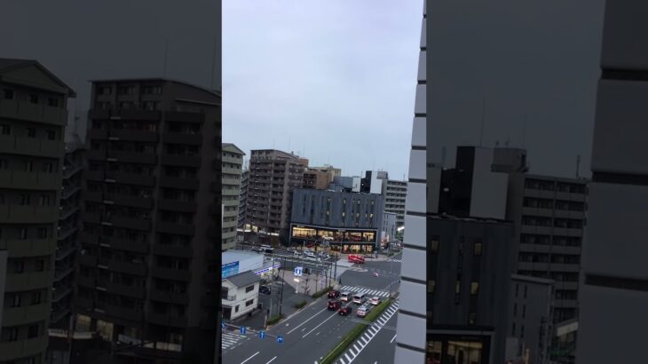 東京消防庁葛西消防署いすゞエルフ救助工作車緊急走行🦺🚨🚒