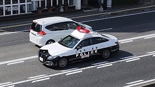 パトカー　緊急走行